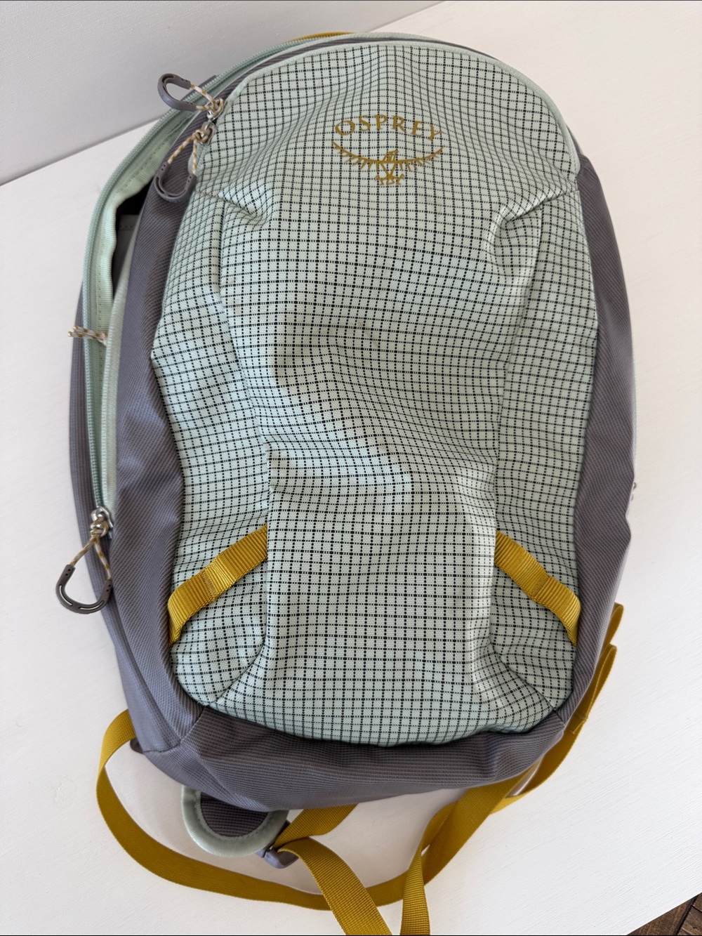 OSPREY Mint Green, Gray & Mustard Backpack